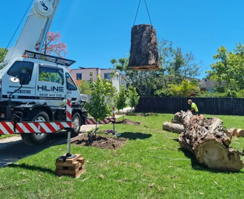 emergency tree removal bottom unionville va