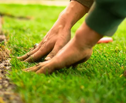lawn property maintain bottom unionville va