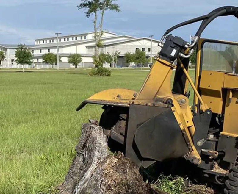 stump remove grind bottom unionville va