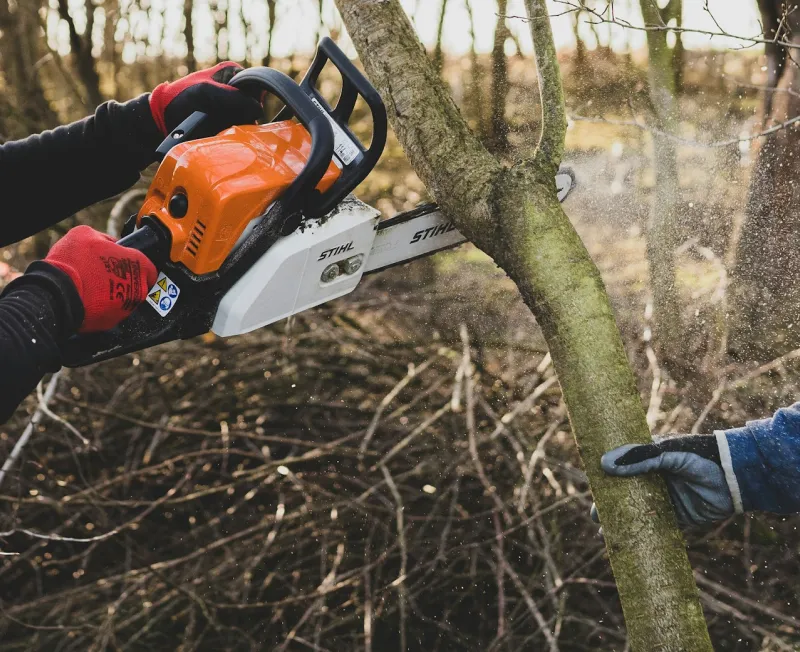 tree trim prune unionville va